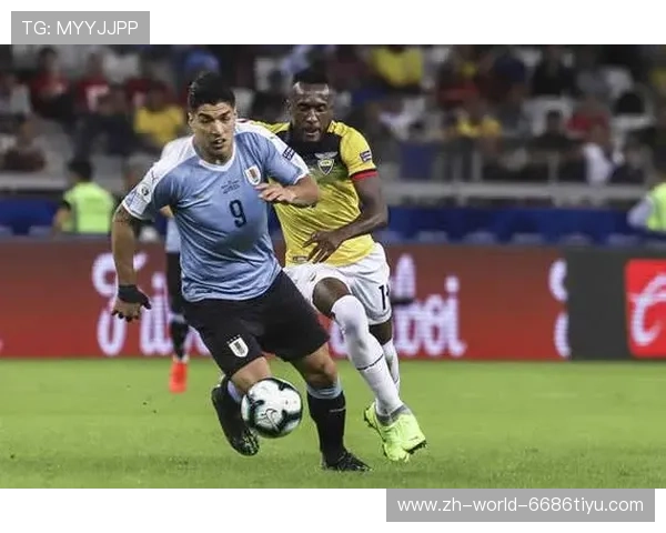 ✅体育直播🏆世界杯直播🏀NBA直播⚽- 上海探索“政府+市场+公益”模式推进陪诊服务专业化、规模化- sports